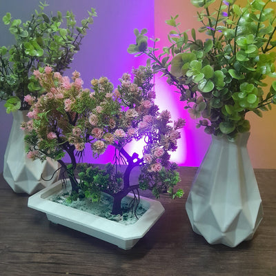 FLOWER VASES (Deal 2 )